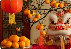 新年賀詞 | 筑夢未來，在這里展翅騰飛